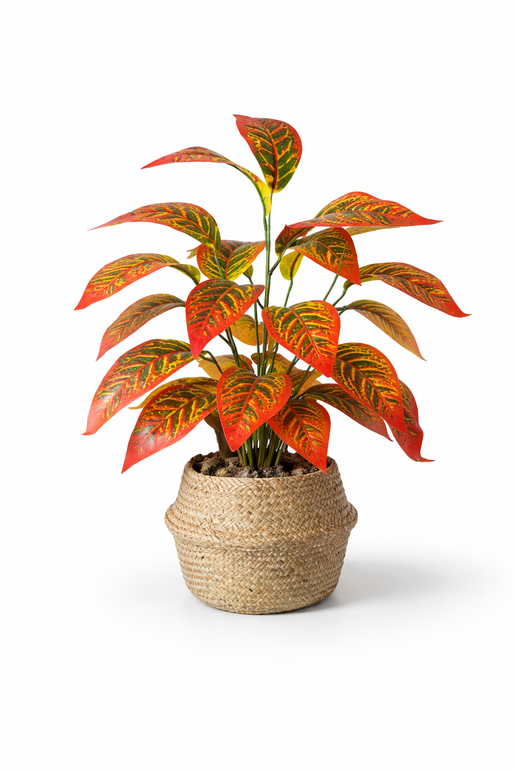 Branche Tropicale Artificielle - Magnolia Exotique