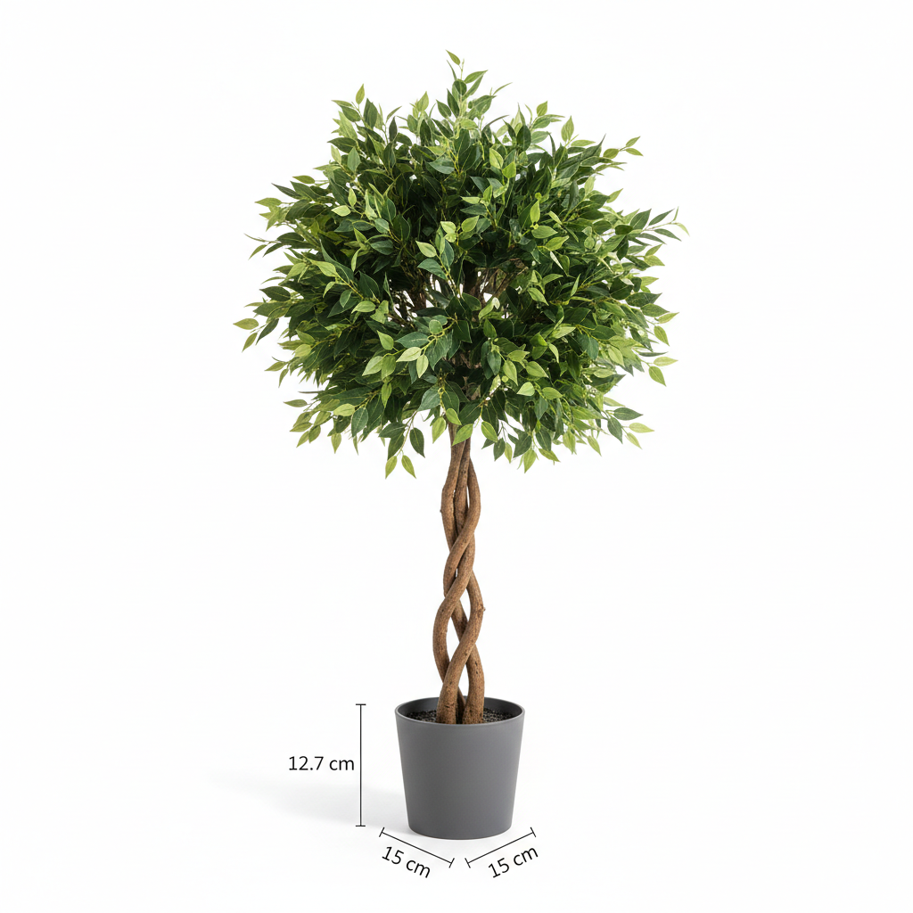 Ficus Éternel Signature - Arbre Élégance Éternelle (150 cm)