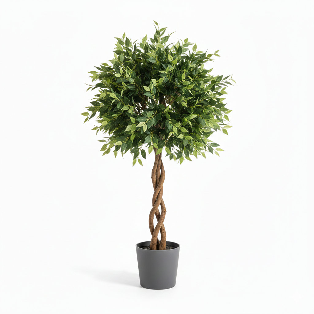 Ficus Éternel Signature - Arbre Élégance Éternelle (150 cm)