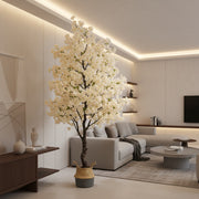 Cerisier Sakura Éternel - Arbre Fleuri Décoratif