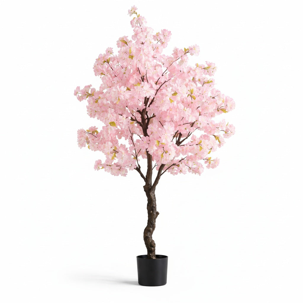 Cerisier Sakura Éternel - Arbre Fleuri Décoratif