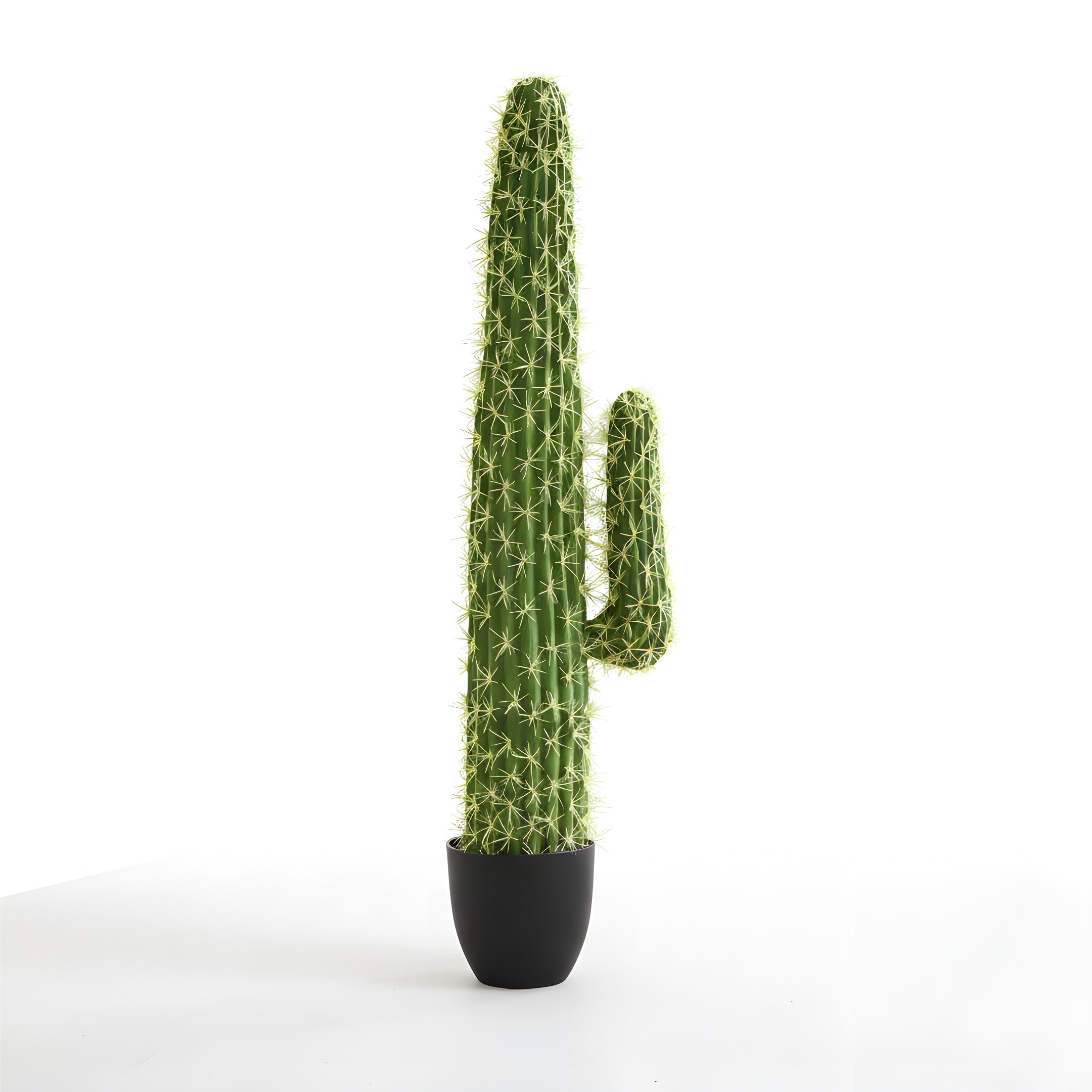Cactus Éternel - Sculpture Végétale du Désert
