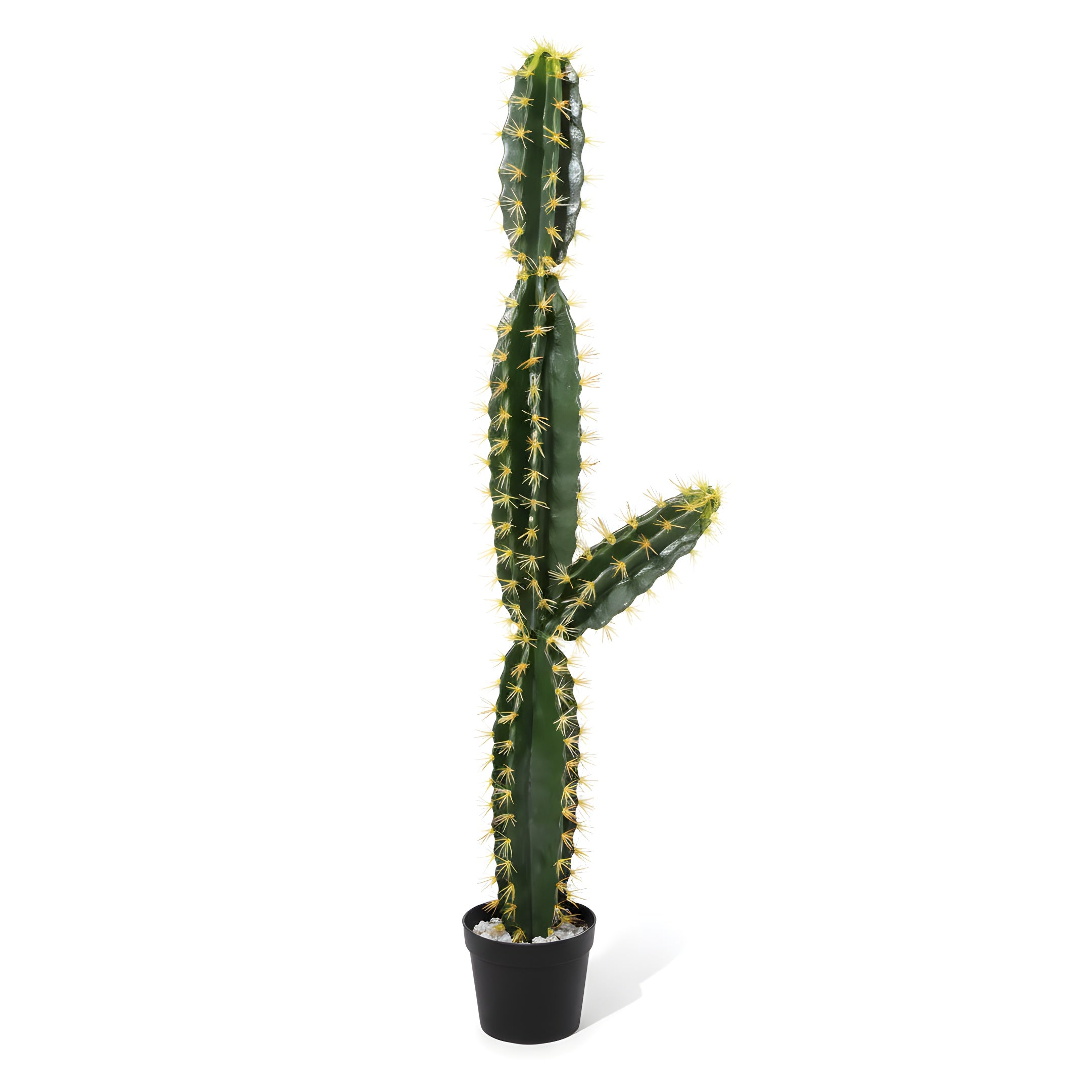 Cactus Éternel - Sculpture Végétale du Désert