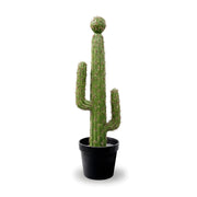 Cactus Éternel - Sculpture Végétale du Désert