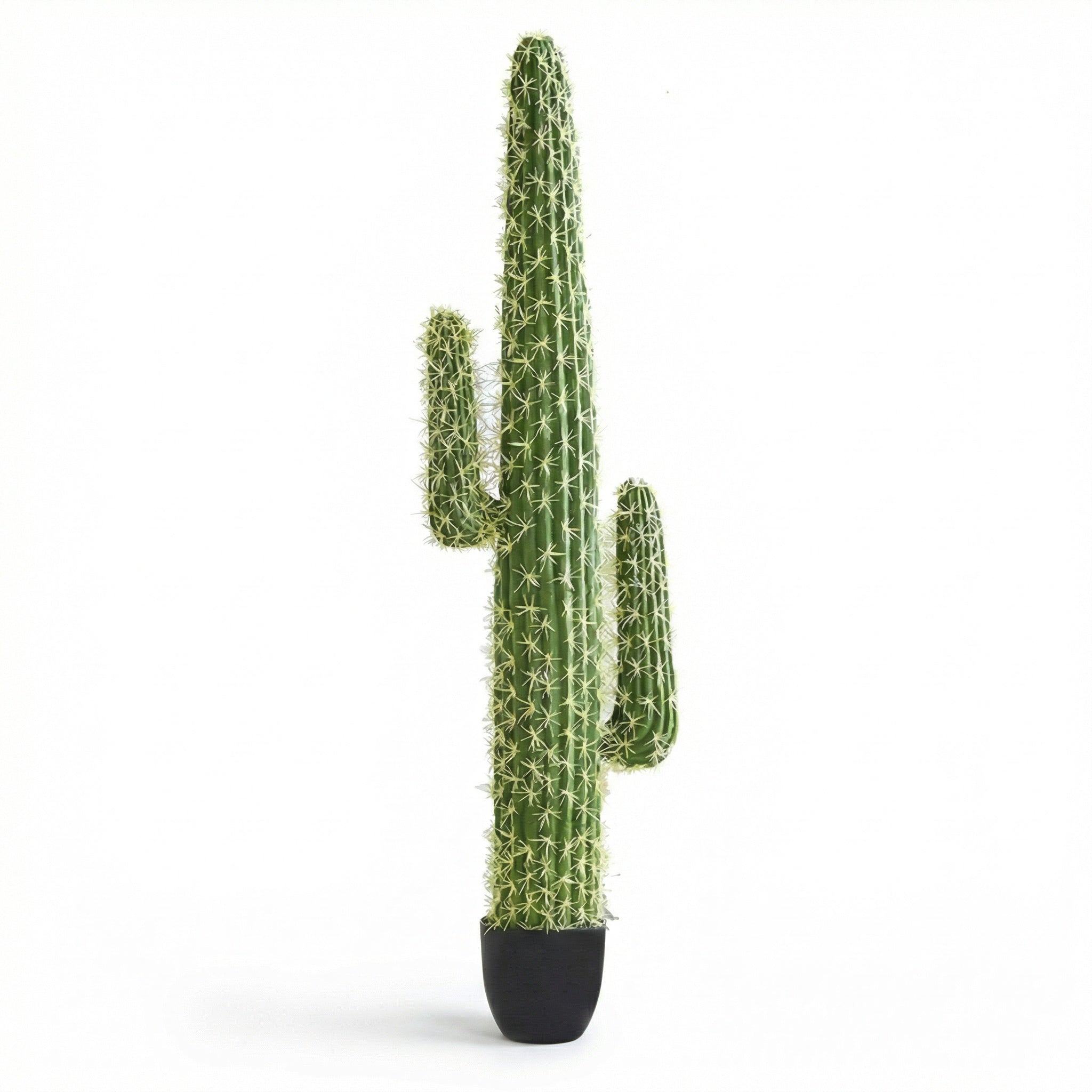 Cactus Éternel - Sculpture Végétale du Désert