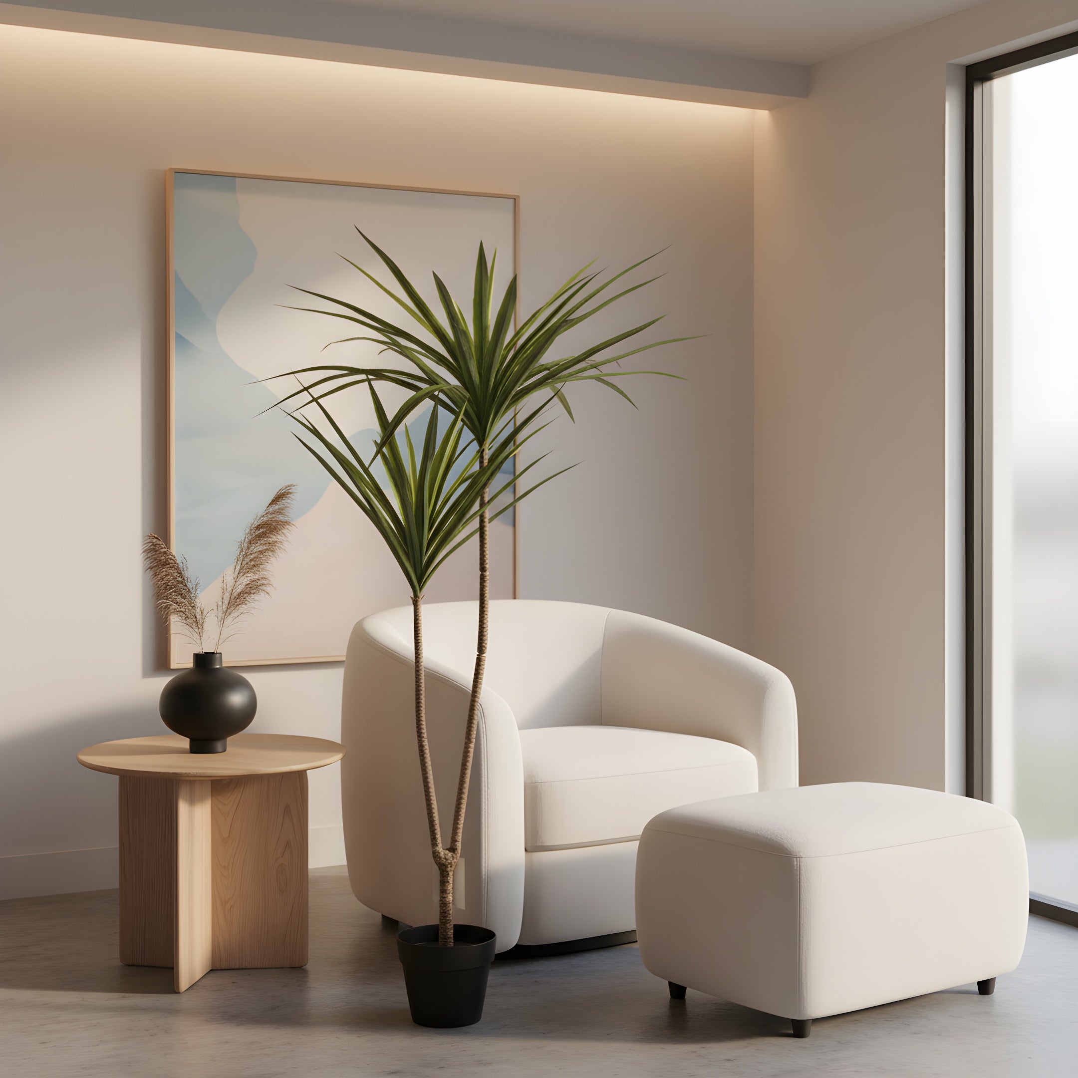 Dracaena Tropica - Plante Tropicale Décorative