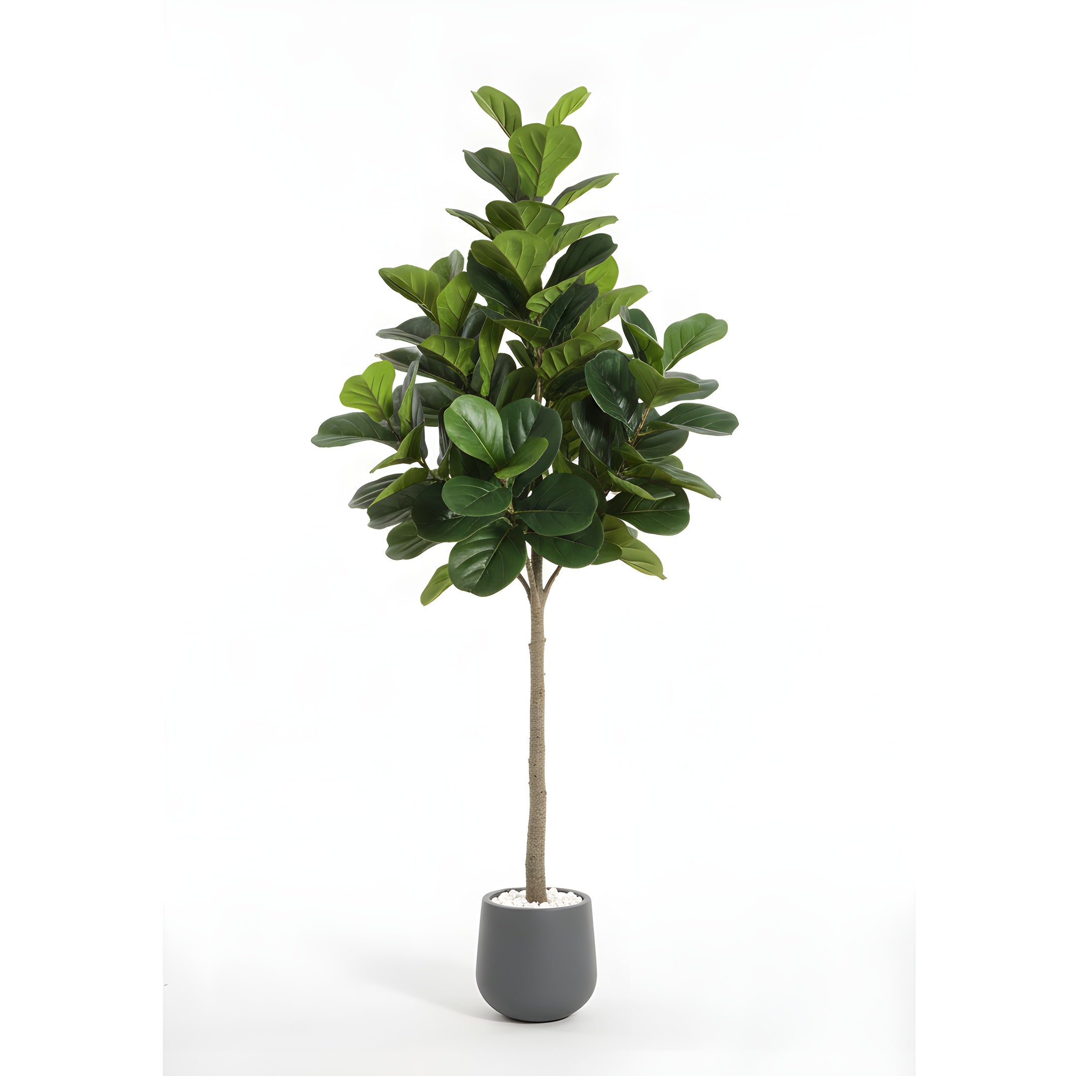 Ficus Lyrata Artificiel Signature - Figuier Lyre