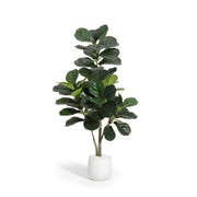 Ficus Lyrata Artificiel Signature - Figuier Lyre