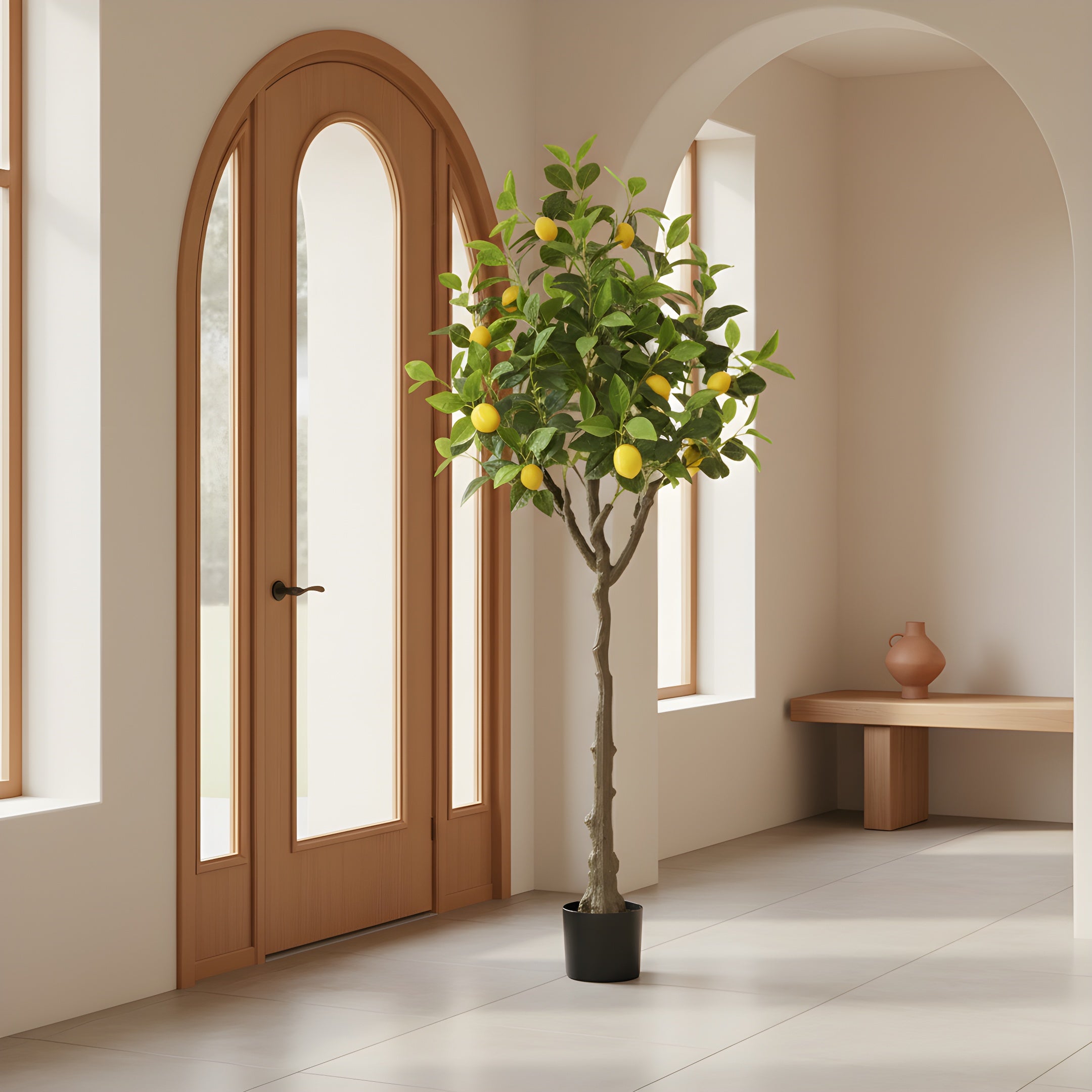 Citronnier Éternel - Arbre Méditerranéen Décoratif