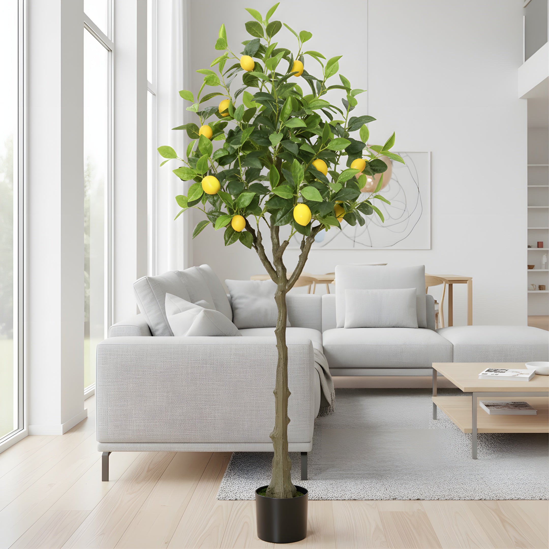 Citronnier Éternel - Arbre Méditerranéen Décoratif