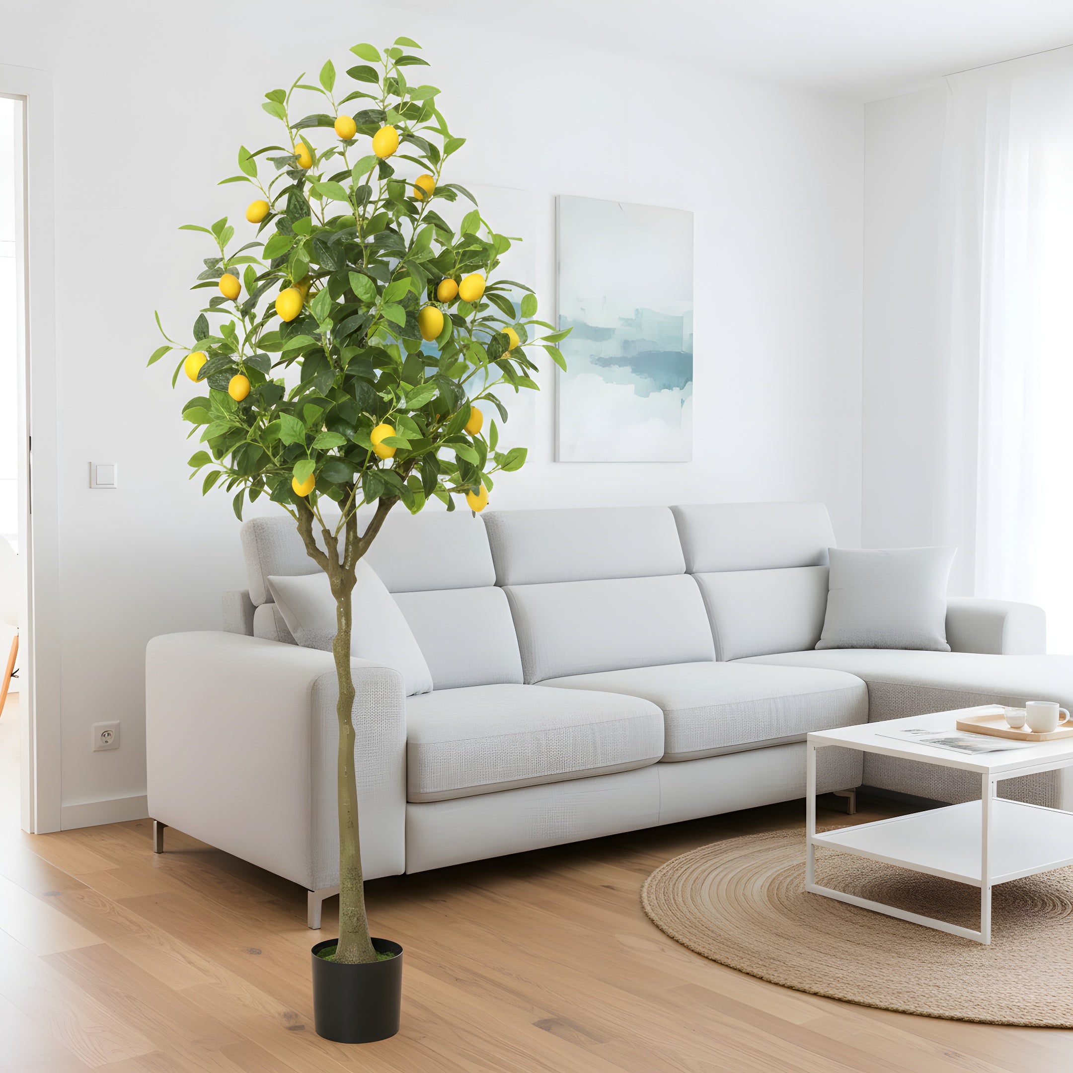 Citronnier Éternel - Arbre Méditerranéen Décoratif