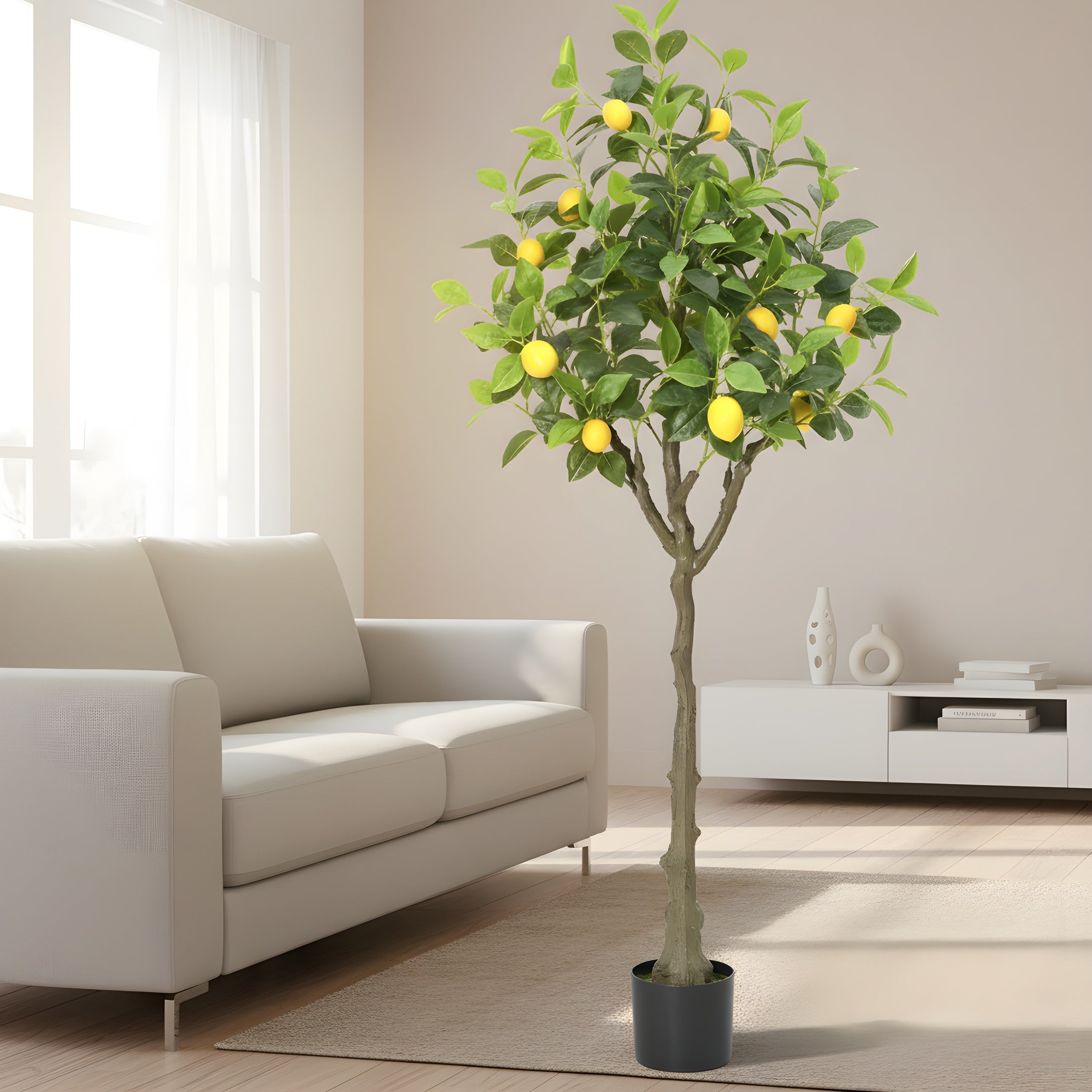 Citronnier Éternel - Arbre Méditerranéen Décoratif
