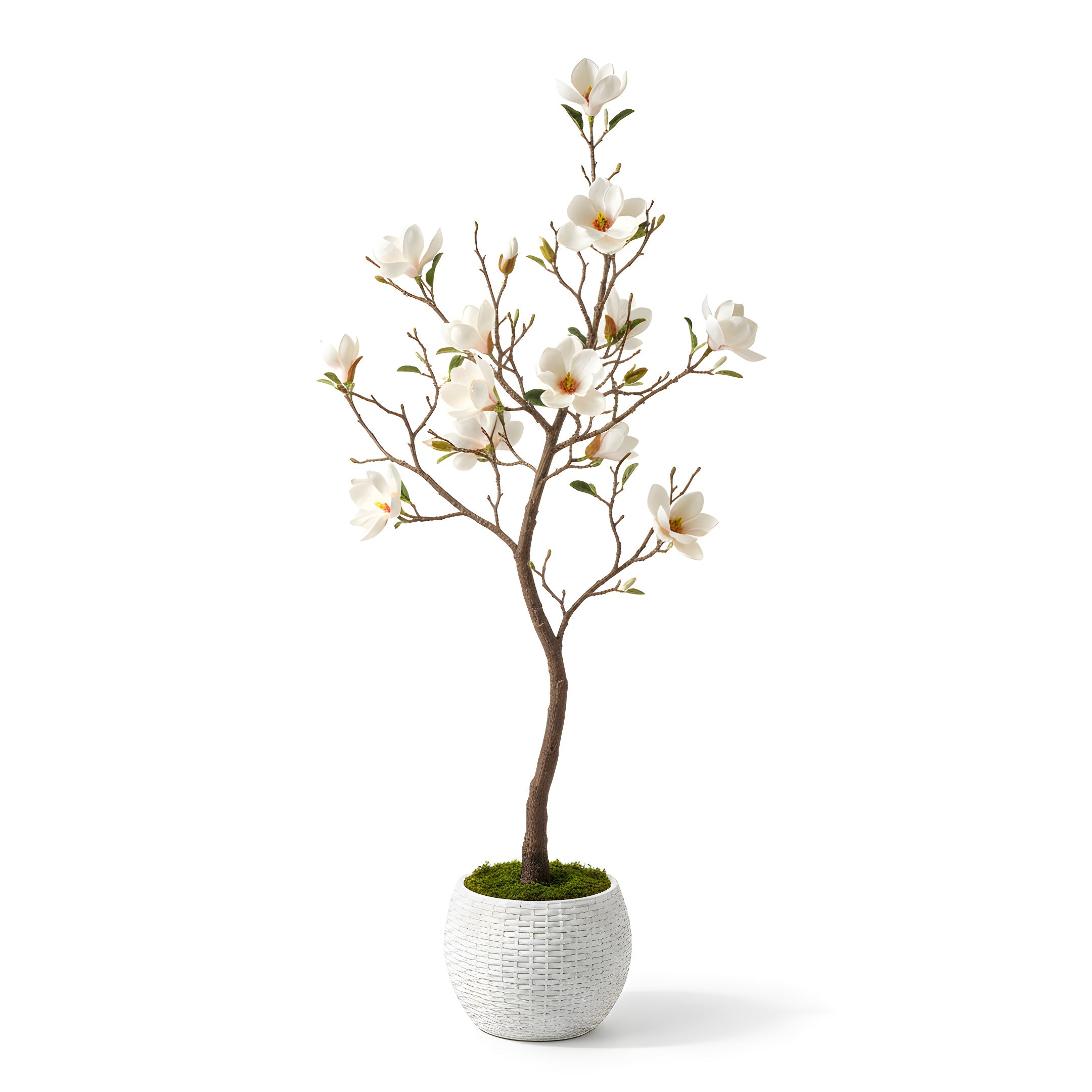 Magnolia Artificiel Éternel - Arbre à Fleurs Élégantes