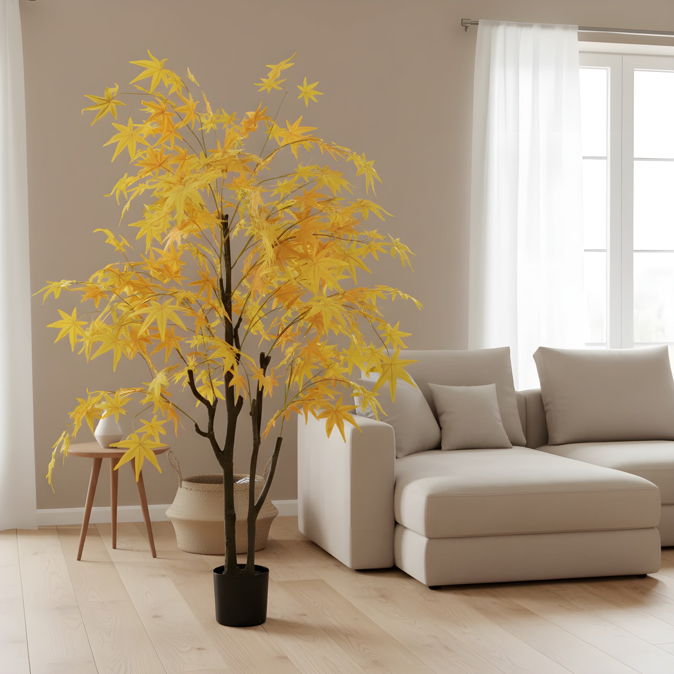 Érable Doré Éternel - Arbre Décoratif d’Automne
