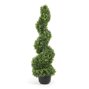 Topiaire Éternelle en Spirale - Duo de Buis Sculptural 122 cm