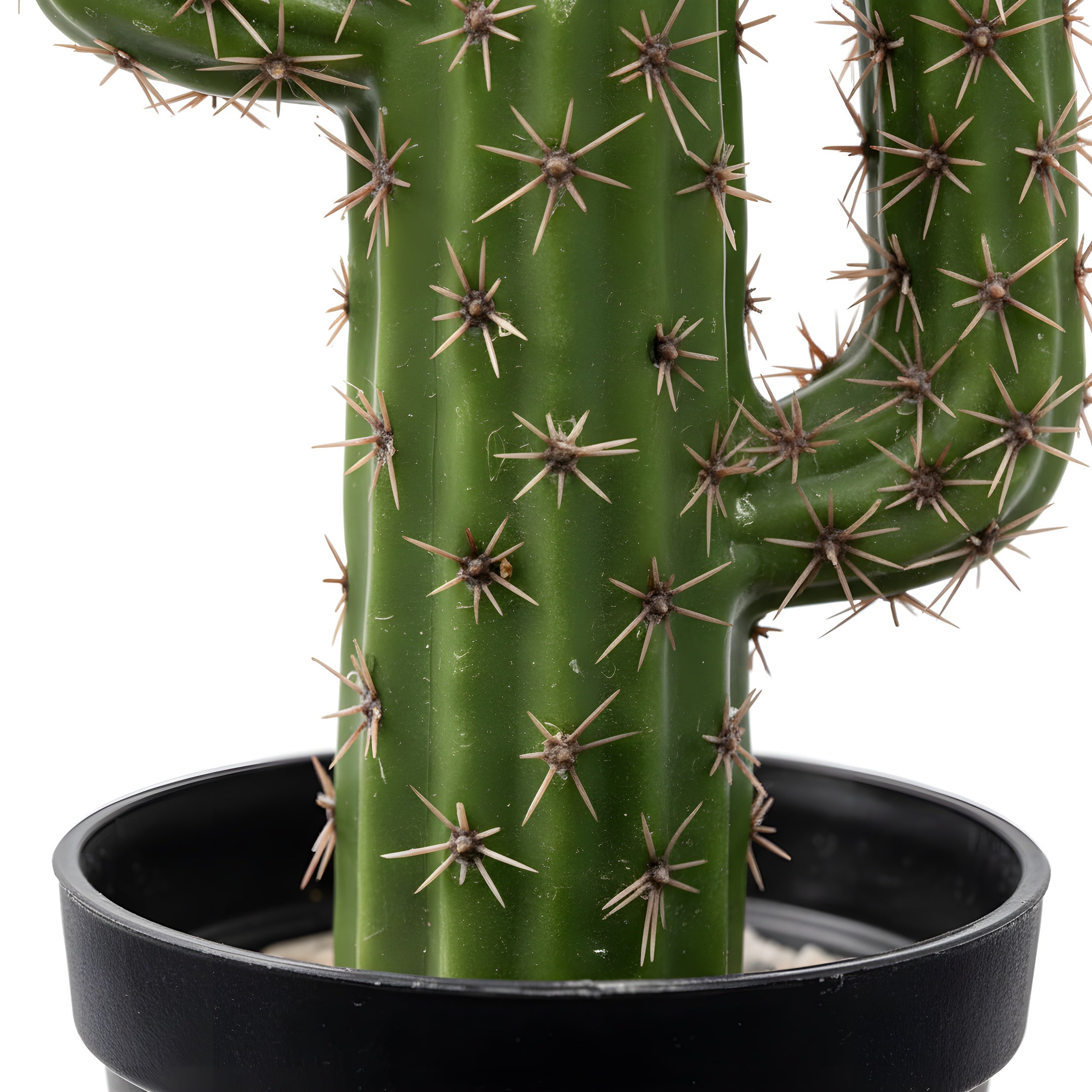 Cactus Éternel - Sculpture Végétale du Désert