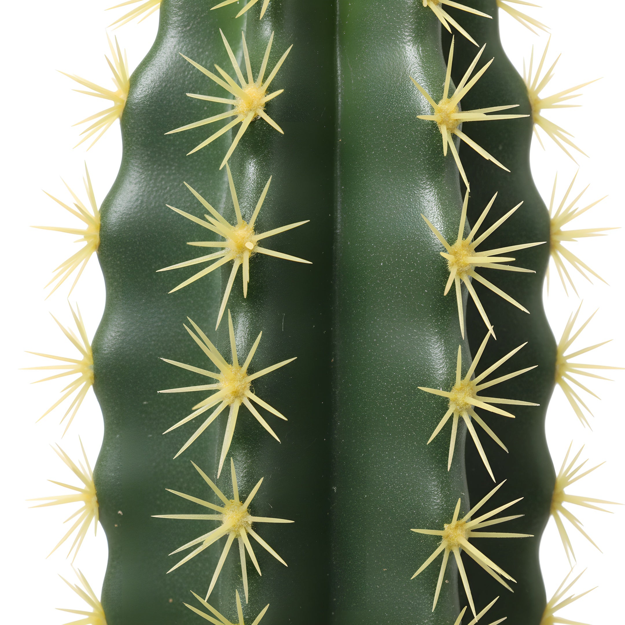 Cactus Éternel - Sculpture Végétale du Désert