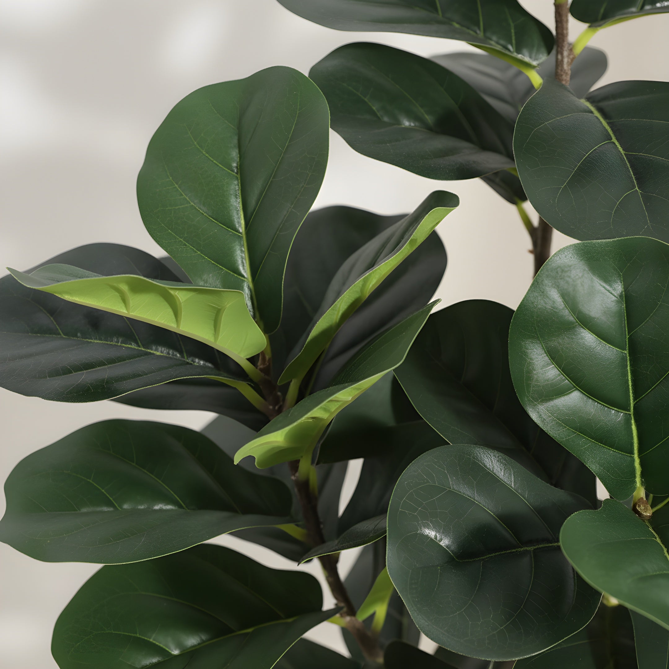 Ficus Lyrata Artificiel Signature - Figuier Lyre