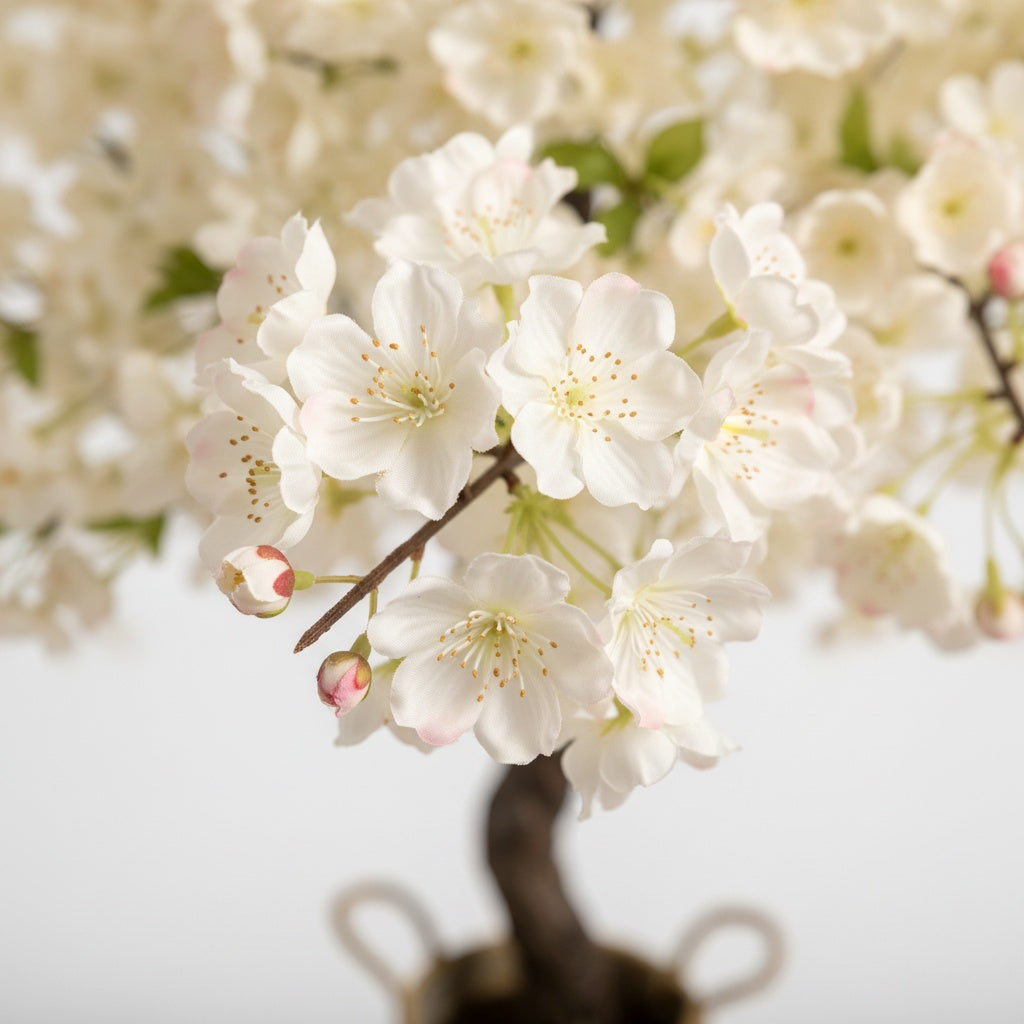 Cerisier Sakura Éternel - Arbre Fleuri Décoratif