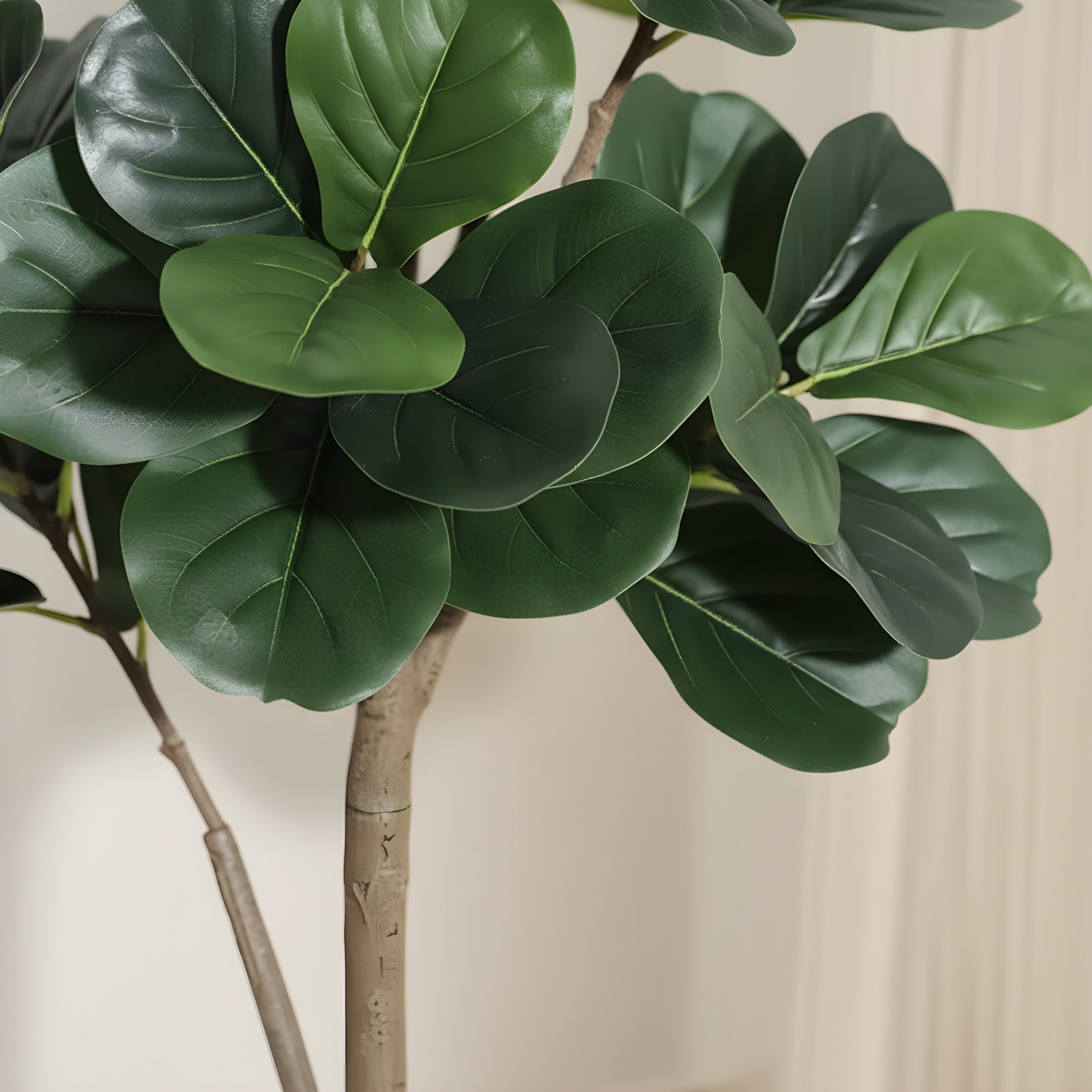 Ficus Lyrata Artificiel Signature - Figuier Lyre