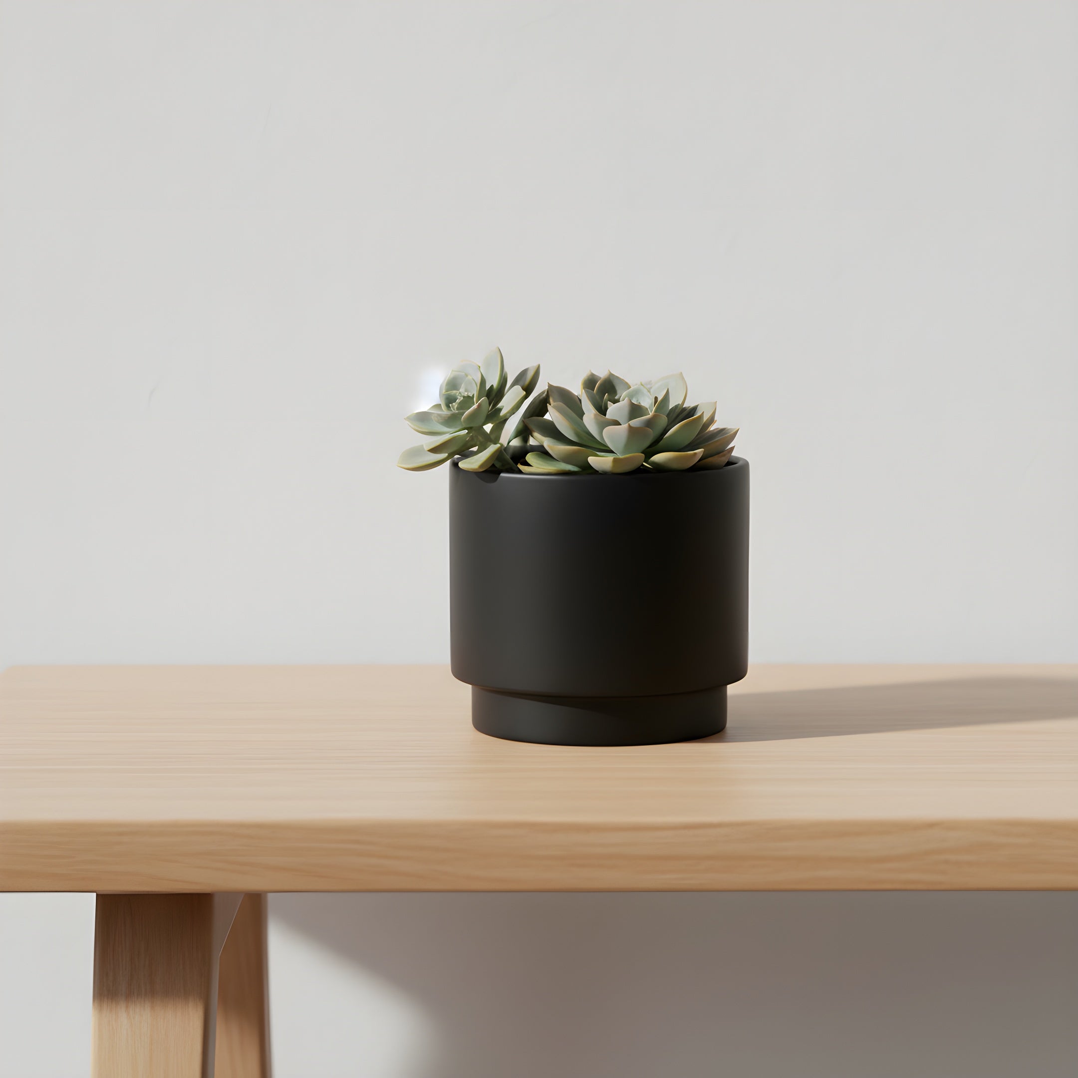 Pot de Fleur Céramique Minimal - Atelier Botanique