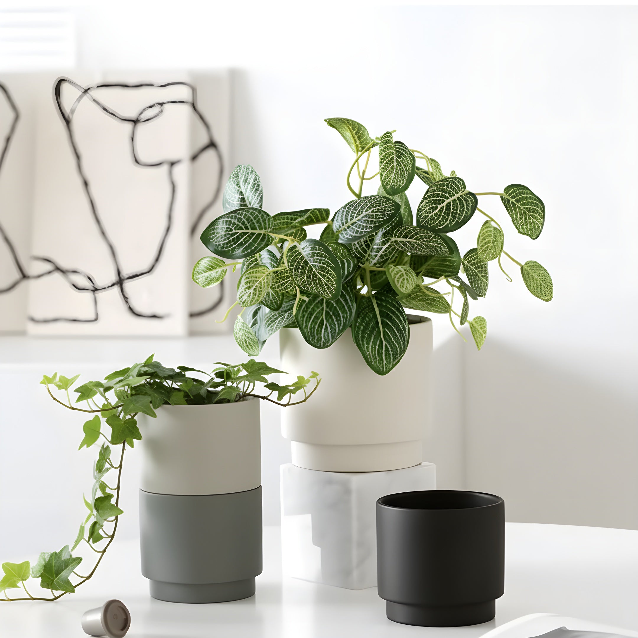 Pot de Fleur Céramique Minimal - Atelier Botanique