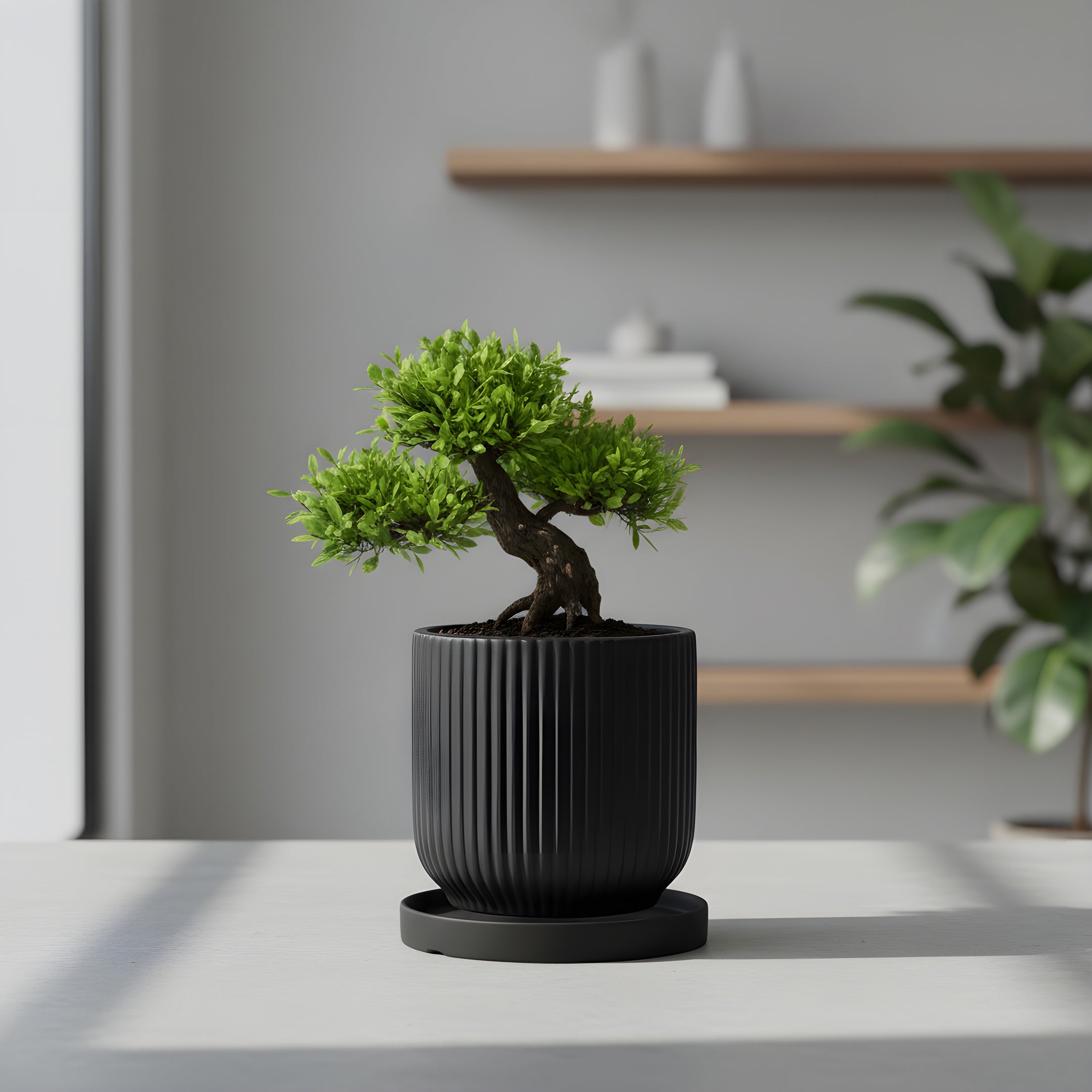 Pot de Fleur Céramique Scandinave - Stries Nordiques avec Plateau