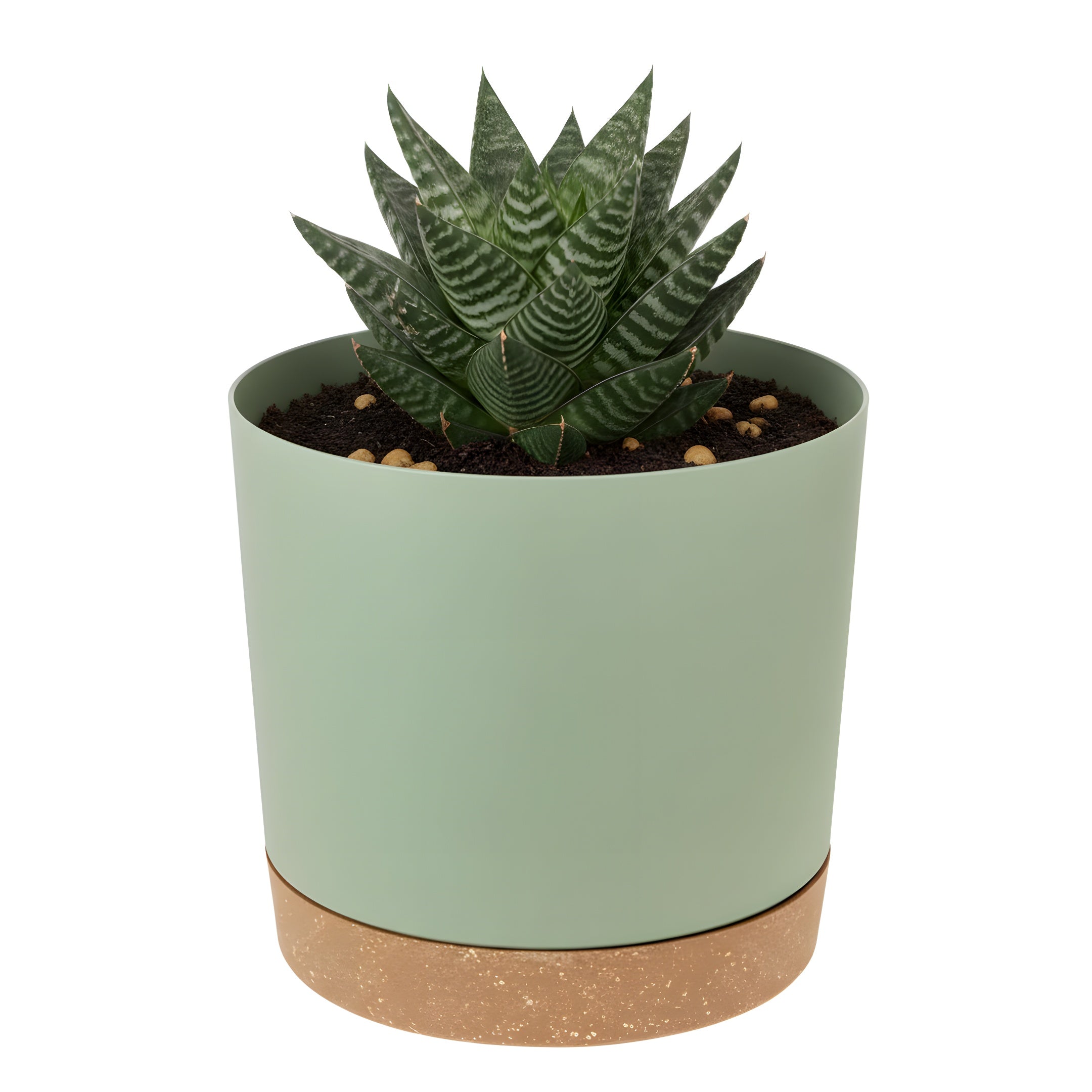 Pot Épurea™ avec Plateau Drainant