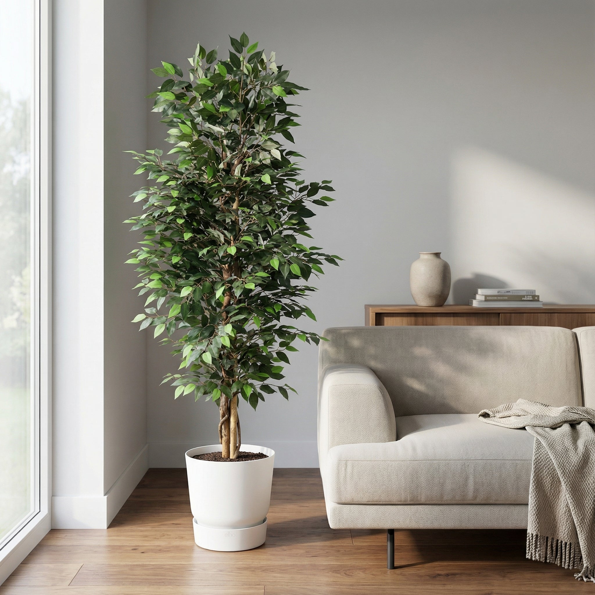 Ficus Benjamina Artificiel – 180 cm